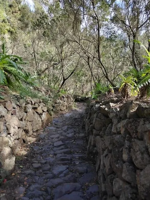 Casa Meraki La Guancha Holiday home